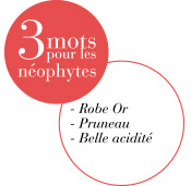 neophytes-nocturne-privilege